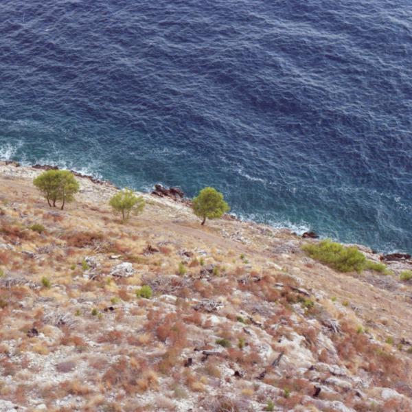 Analogue photograph by Mateusz Siudmak