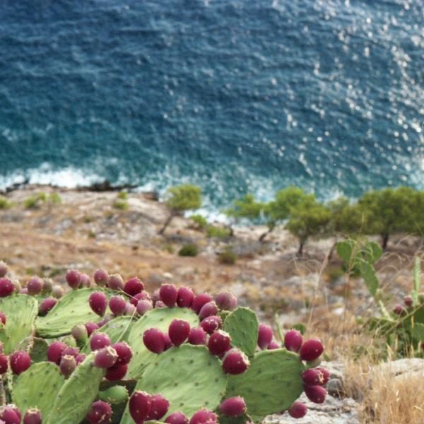 Analogue photograph by Mateusz Siudmak