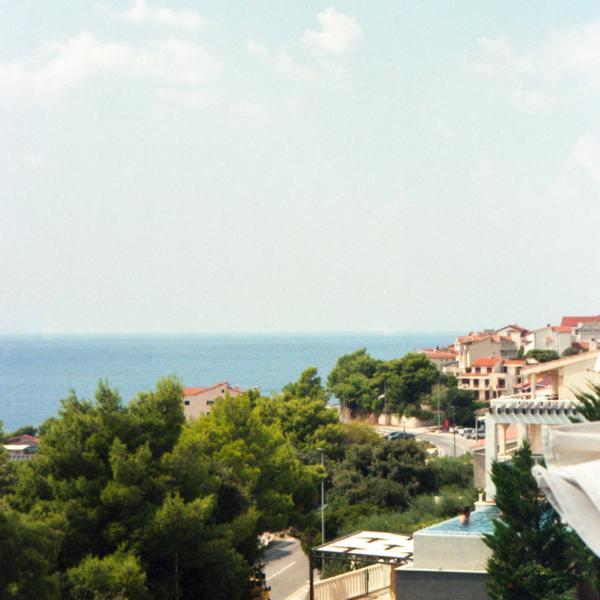 Analogue photograph by Mateusz Siudmak