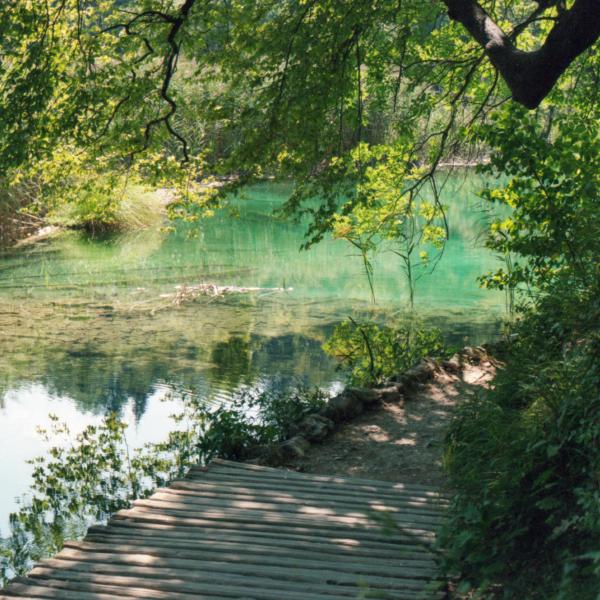 Analogue photograph by Mateusz Siudmak