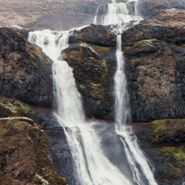 Analogue photograph by Mateusz Siudmak