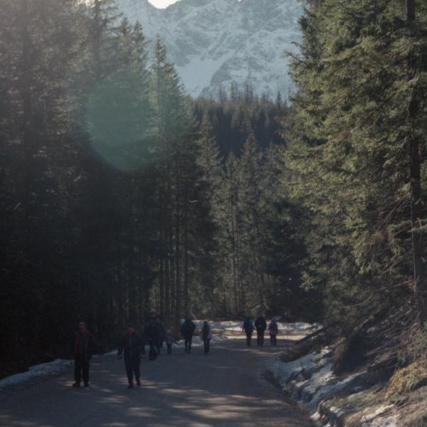 Analogue photograph by Mateusz Siudmak