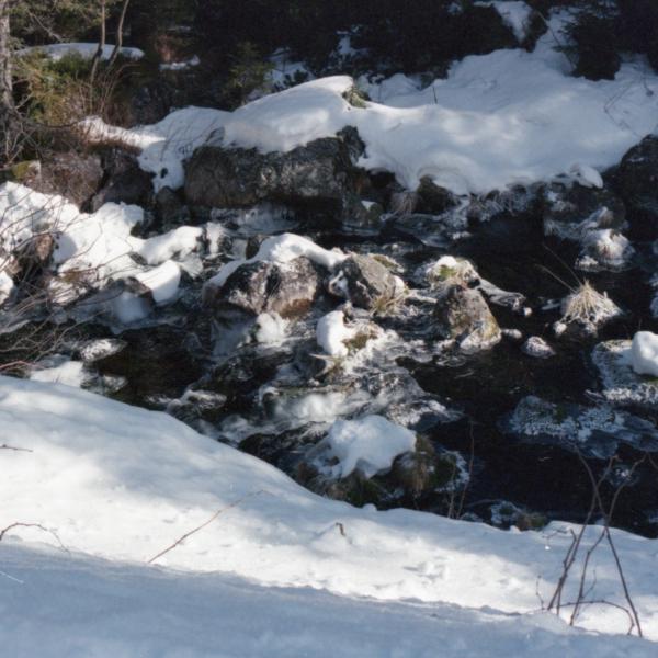 Analogue photograph by Mateusz Siudmak