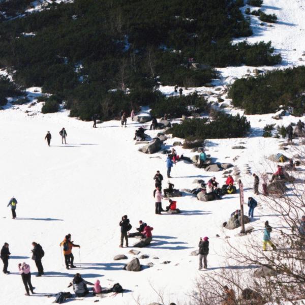 Analogue photograph by Mateusz Siudmak