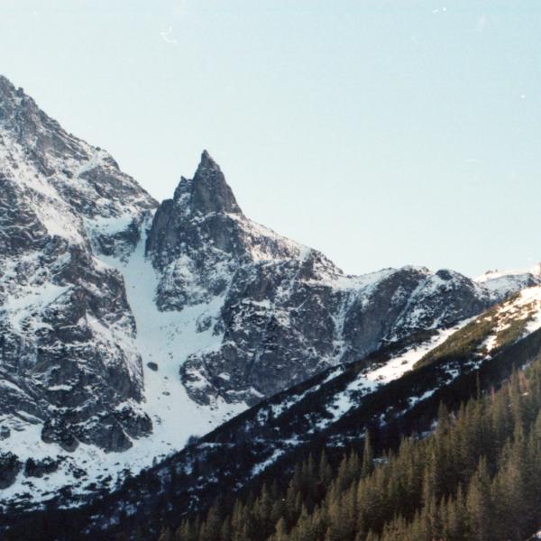 Analogue photograph by Mateusz Siudmak